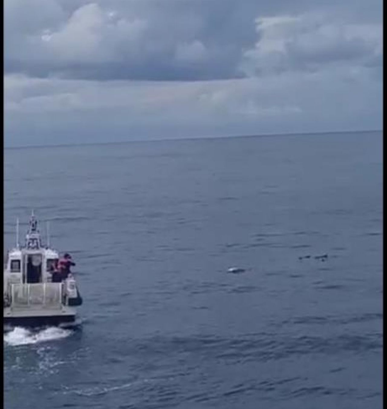 Trabzon Havalimanı açıklarında erkek cesedi bulundu