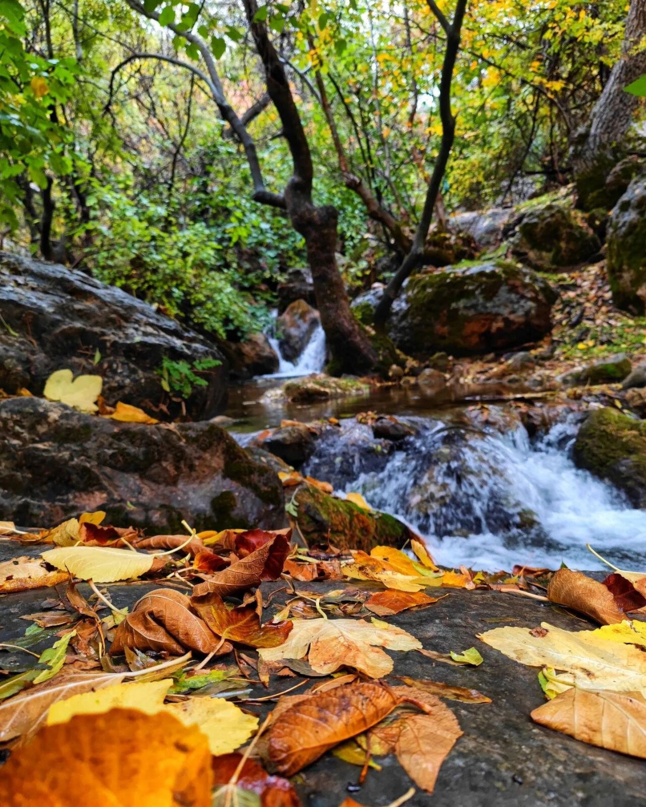 Bu manzaranın ait olduğu yeri öğrendiğinizde, inanamayacaksınız!