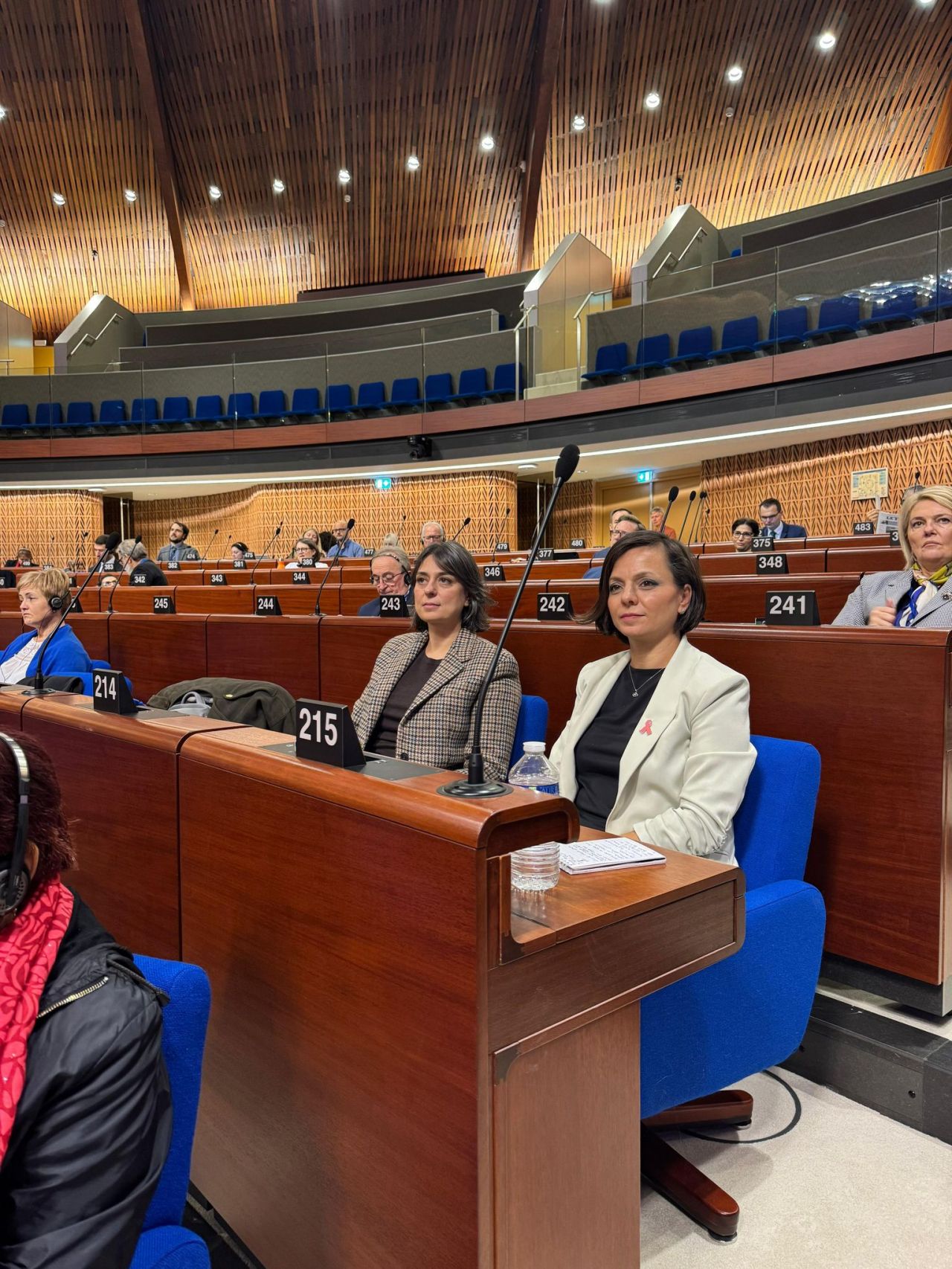 Başkan Kınay Strazburg'da Türkiye'yi nasıl temsil etti?