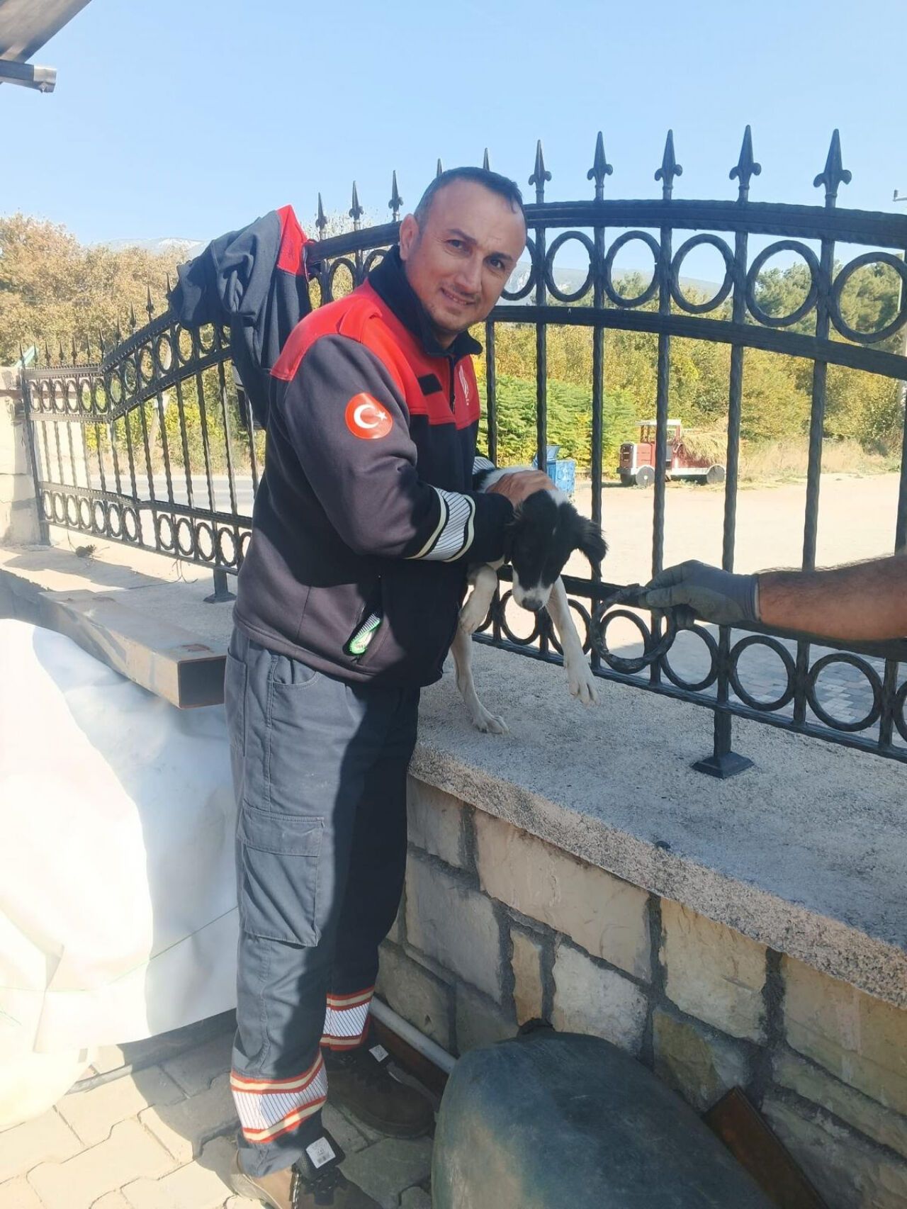 Kafası demir parmaklıklara sıkışan köpek kurtarıldı mı?