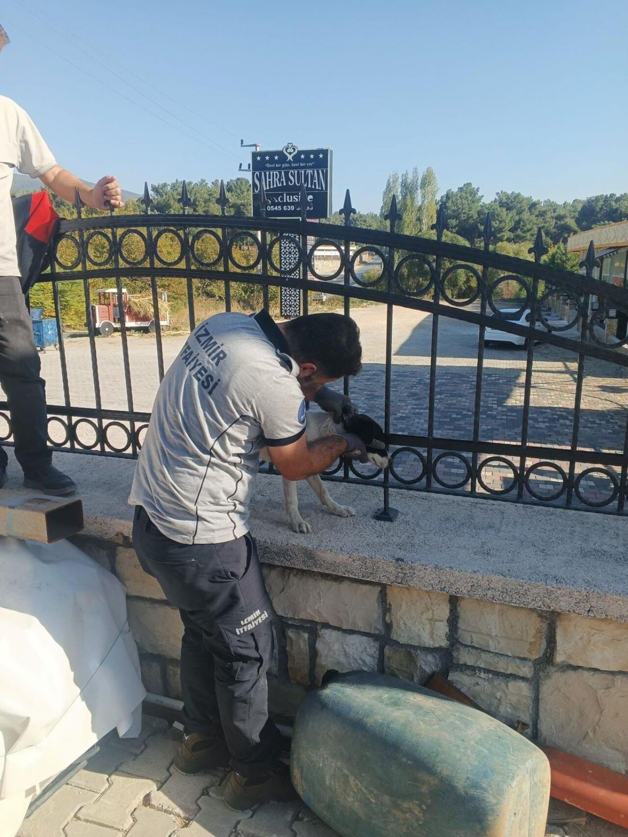 Kafası demir parmaklıklara sıkışan köpek kurtarıldı mı?