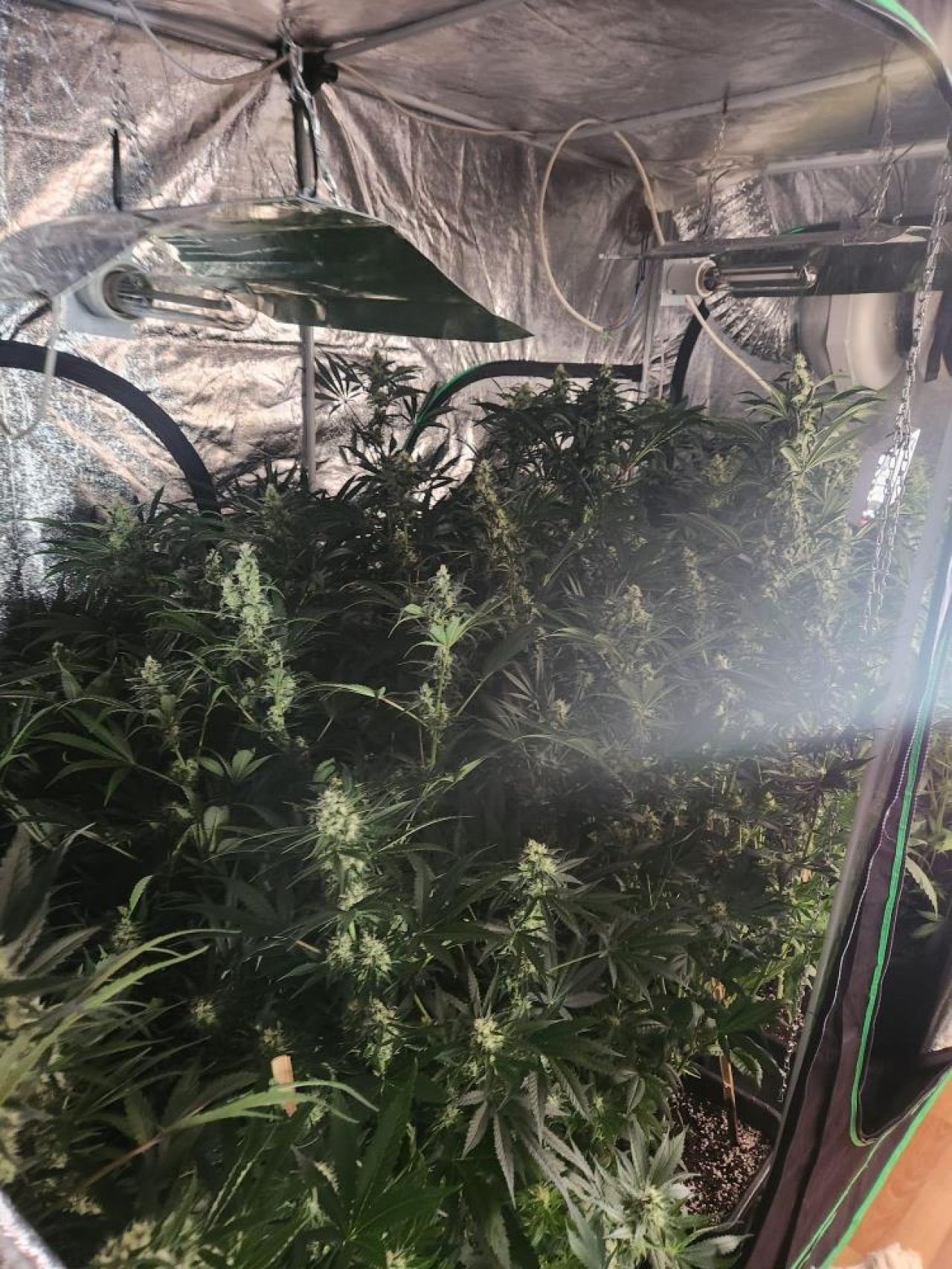 Narkotik ekipleri göz açtırmıyor: İzmir'de zehir tacirlerine baskın