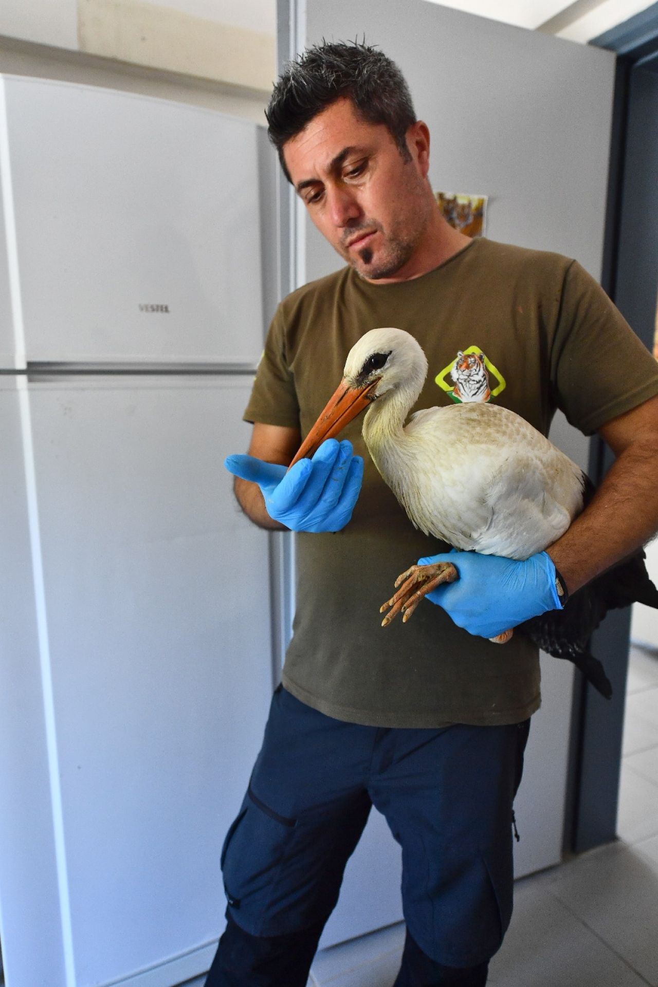 İzmir Doğal Yaşam Parkı'nda yaban hayatın sesi yeniden yükseliyor