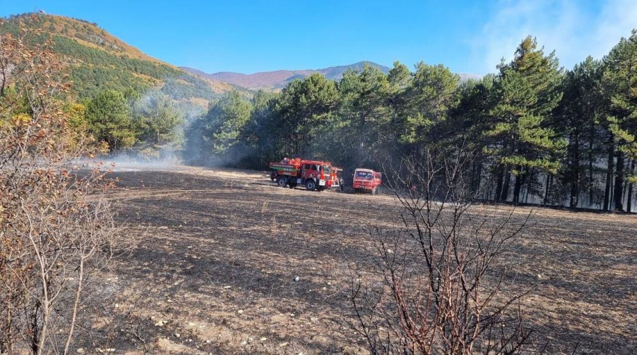 Hareketli dakikalar: Anız yangını ormana sıçradı!