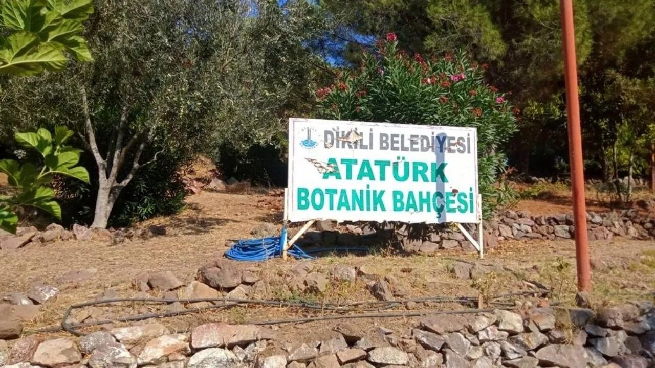 İzmir’in saklı cenneti Atatürk Botanik Bahçesi 24 saat açık, ücretsiz ve 3 binden fazla bitki barındırıyor!