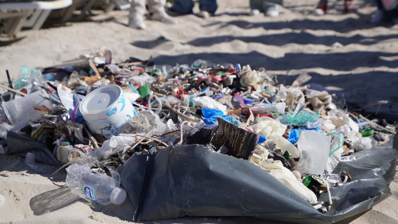 Sezon bitti diyerek Çeşme'nin kıyılarında temizliğe başladılar