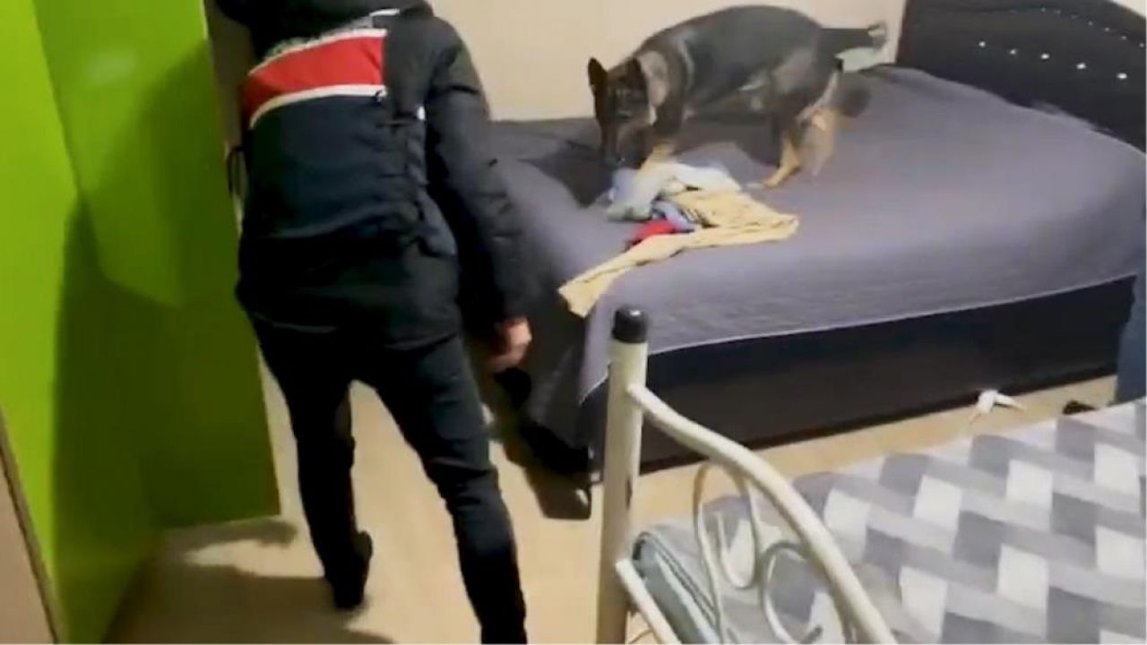 Narkotik köpeğiyle arama yapılan evden çıkanlar şoke etti