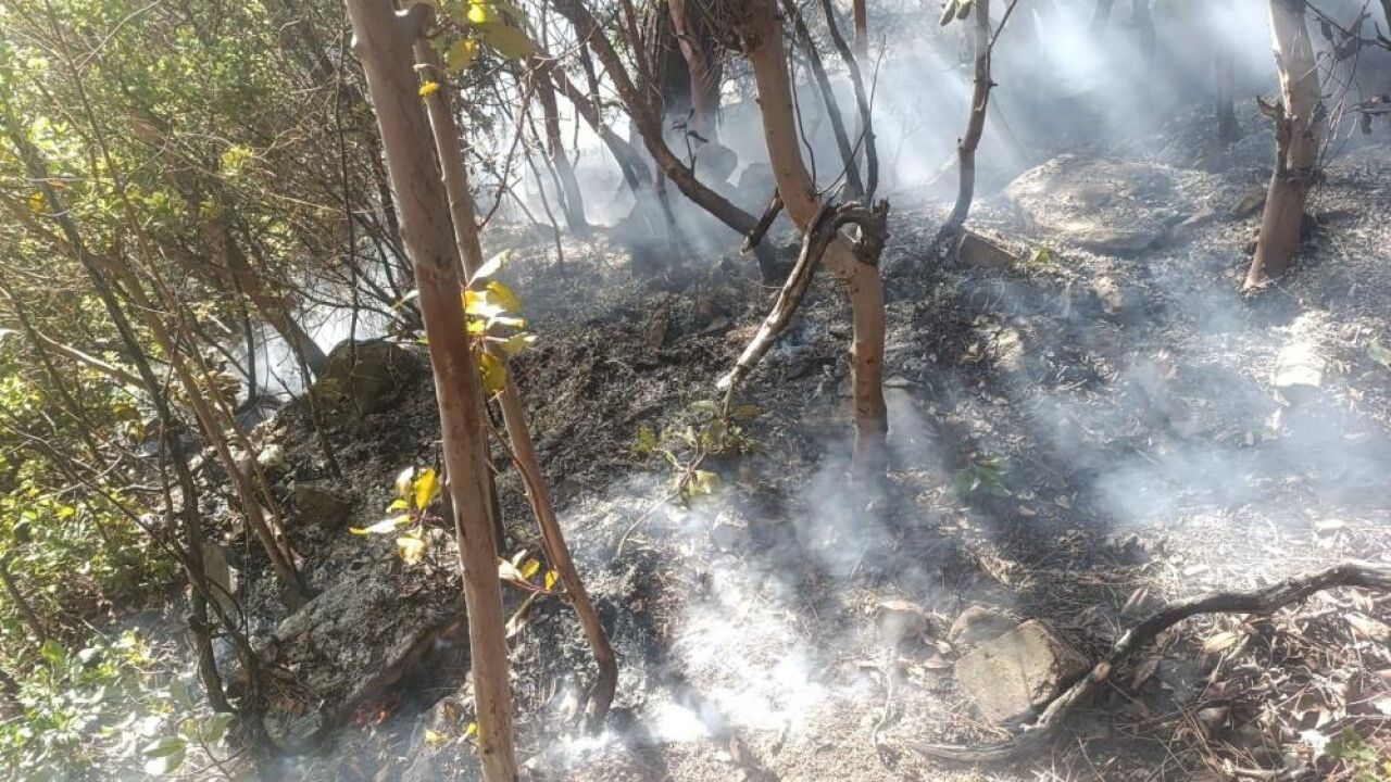 Ekipler zamanla yarıştı: Ormanlık alana yıldırım düştü!