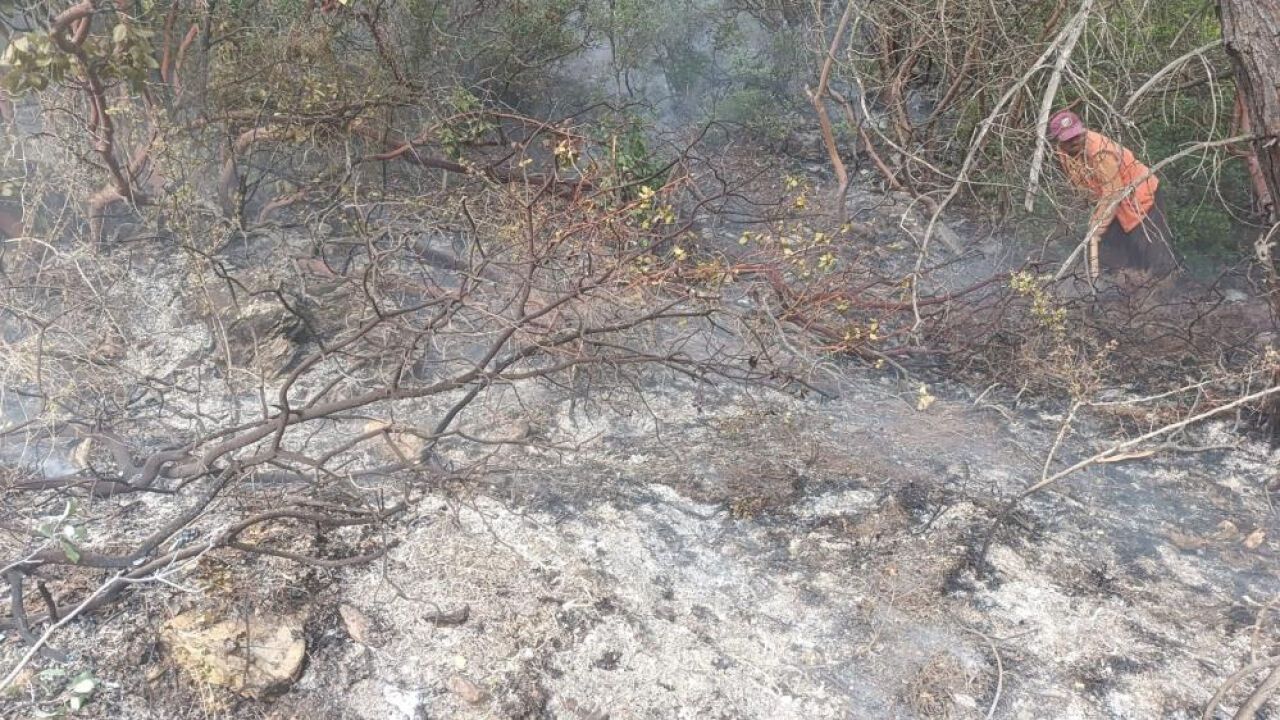 Ekipler zamanla yarıştı: Ormanlık alana yıldırım düştü!