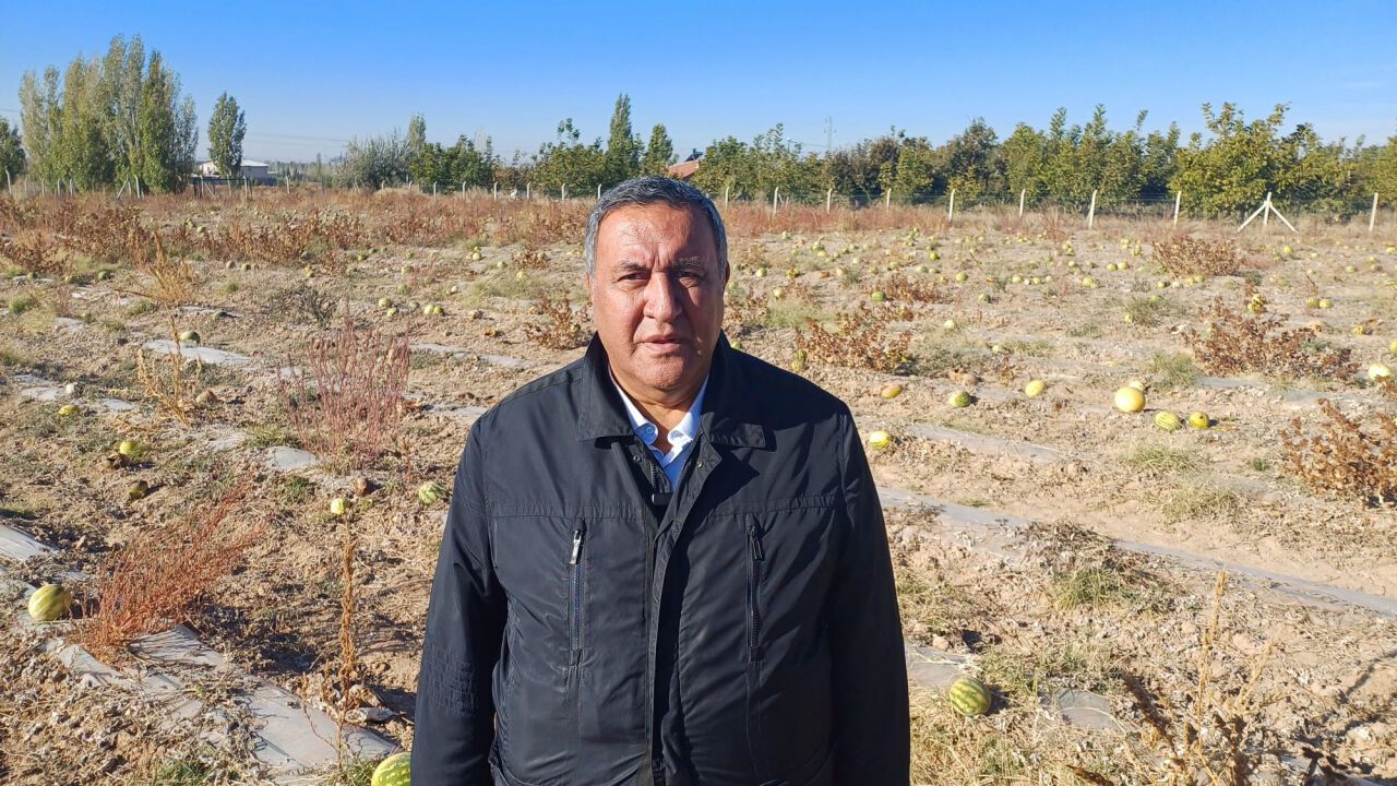 Gürer: Tüketicinin dilimle alamadığı ürünü üretici tarladan toplayamadı!