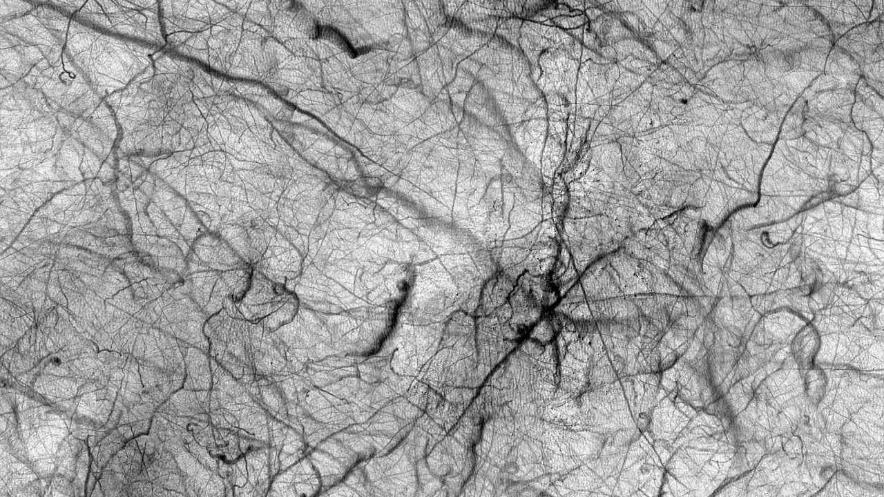 NASA'dan Mars'ın toz şeytanları: Gezegenin geleceğini nasıl etkiliyor?