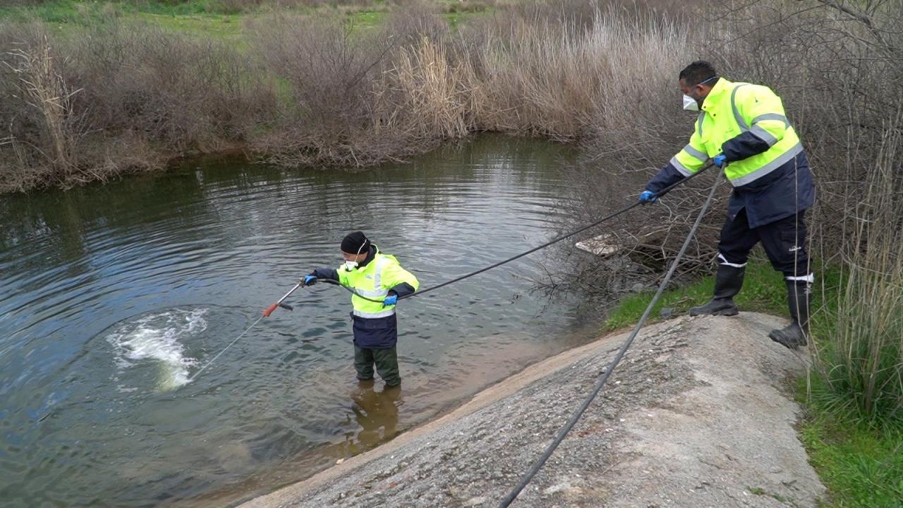 İzmir'de sivrisinek alarmı | Mücadele 12 ay boyunca sürüyor