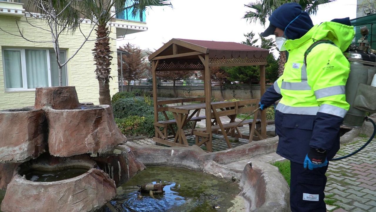 İzmir'de sivrisinek alarmı | Mücadele 12 ay boyunca sürüyor