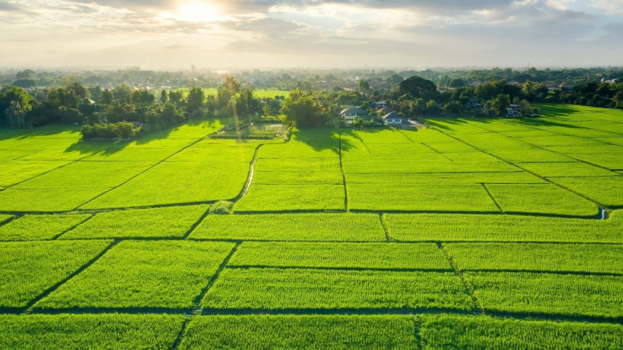 Tapu sahiplerine kritik uyarı! Başvuru yapmayanların arsaları kiraya verilecek!