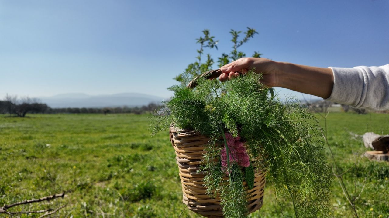 İzmir'e cemre asıl o gün düşecek: 22-23 Mart tarihinde yüzlerce İzmirli buraya akın edecek- Gösteri, pazar, konser, yarışma her şey olacak