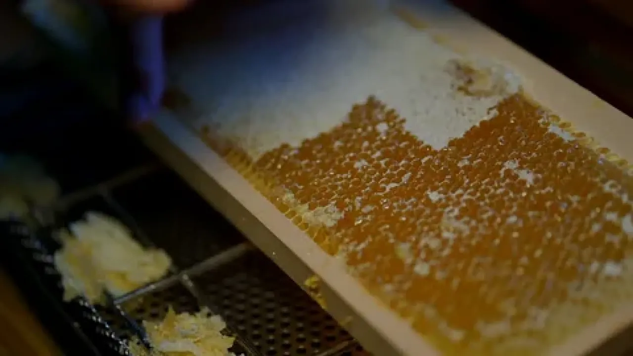 Rüyada petek bal görmek: Yeni bir başlangıç mı, tehlike mi?