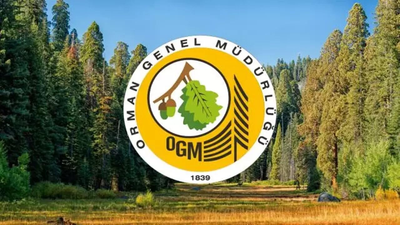 OGM 2025 destek personeli alımı başlıyor: İşte başvuru tarihleri ve detayları!