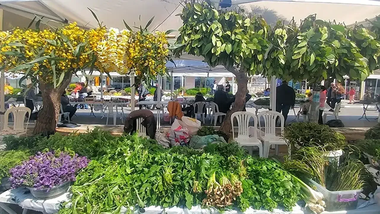 İzmir Alaçatı Ot Festivali ne zaman? Tarihler duyuruldu- Festival programını gören İzmirli Alaçatı'ya koşacak