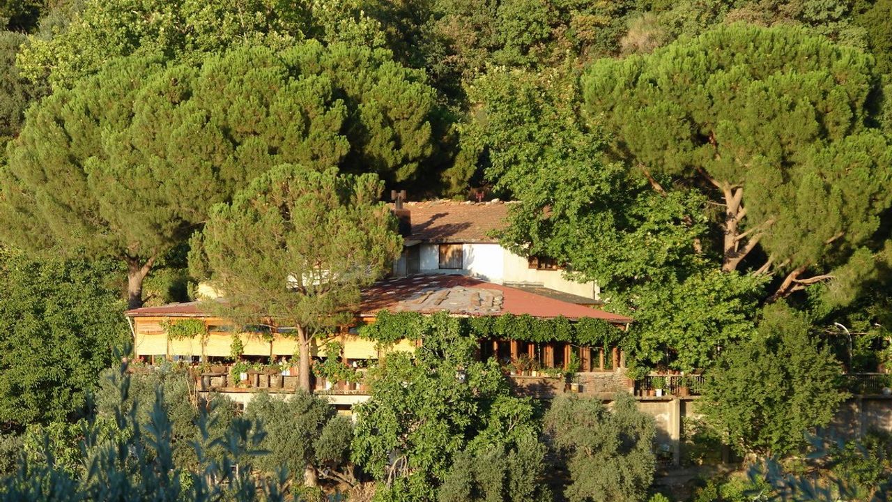 Karadeniz sandınız ama burası İzmir! Asırlık ağaçlarla kaplı gizli köy