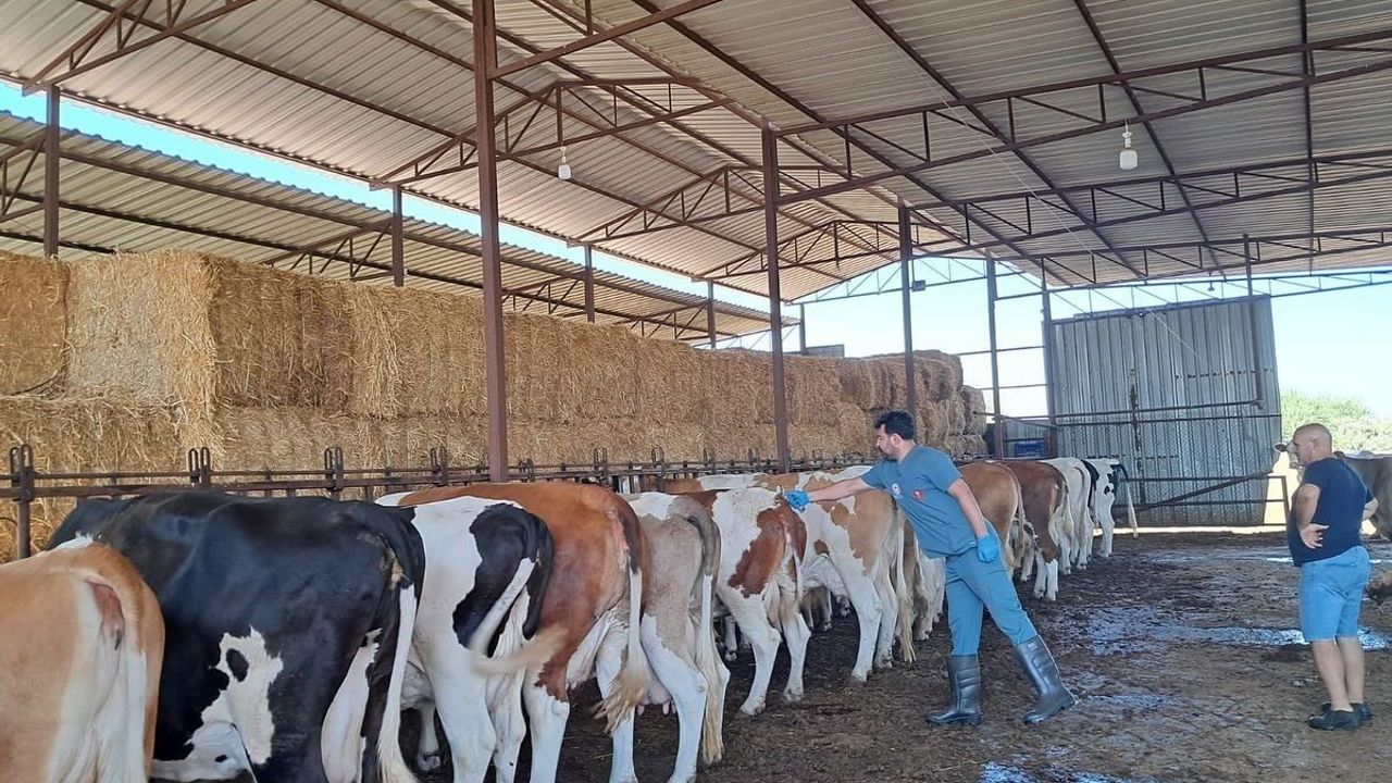 Aydın Nazilli'de alarm! 13 mahalle karantinaya alındı