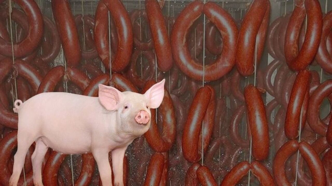 Bakanlık tek tek ifşa etti.... Etikette dana yazıyor, içinden domuz çıkıyor! Ünlü marka da listede