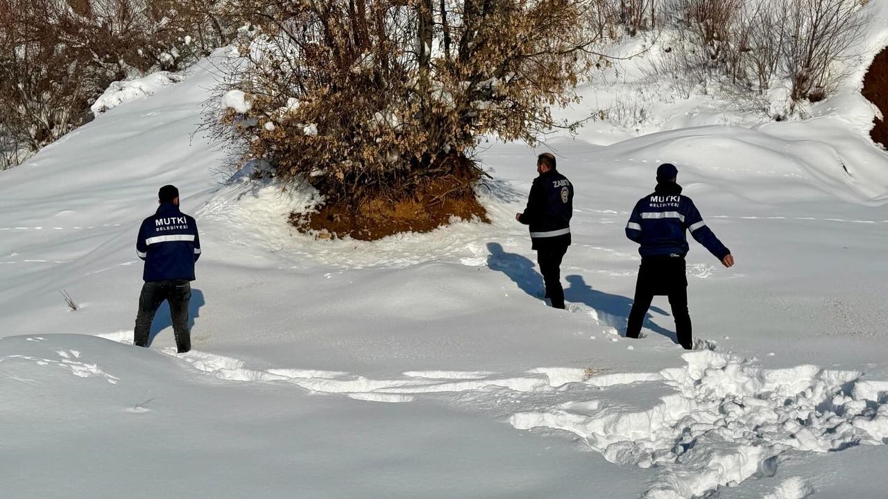 Bitlis’te yaban hayatı için seferberlik başladı