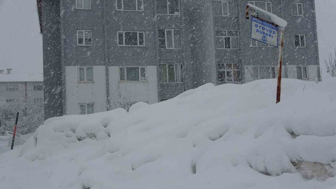Bitlis'te 304 köy yolu kar nedeniyle ulaşıma kapandı