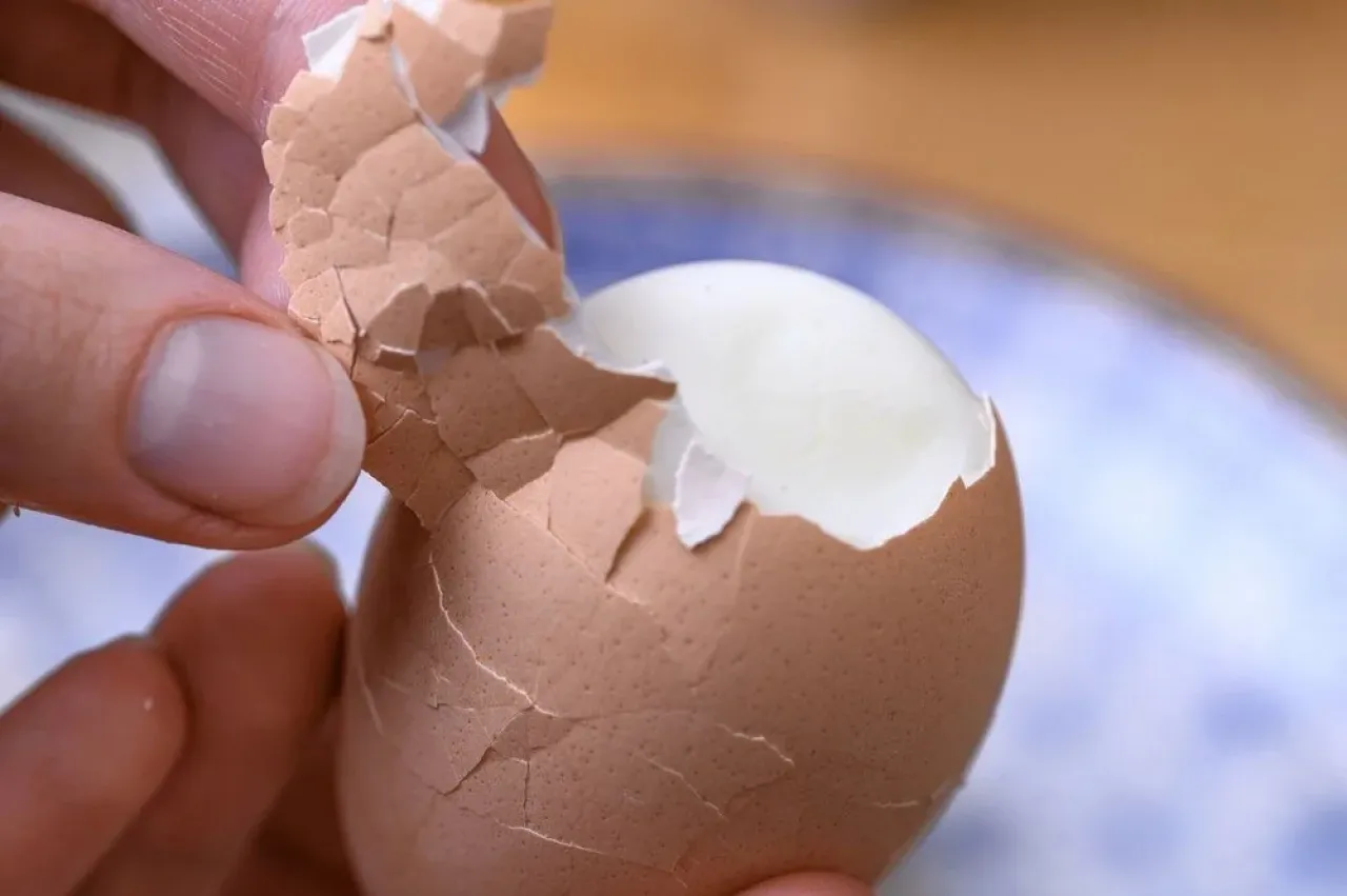 Yumurtayı geride bırakan 4 sebze: Protein alımını artırmanın bitkisel yolları!