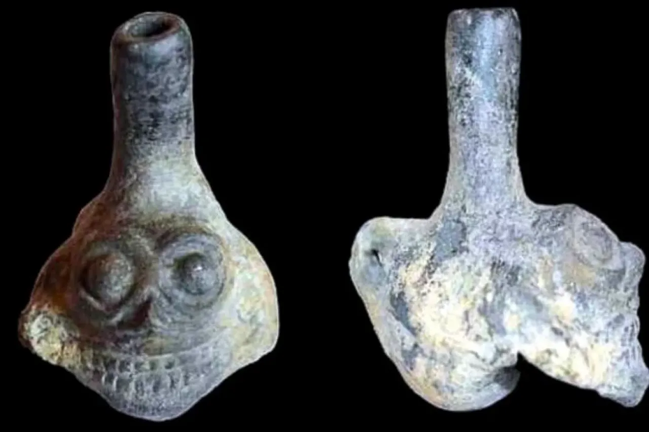 Azteklerin ölüm düdüğü beyin üzerinde şok edici etkiler yaratıyor!