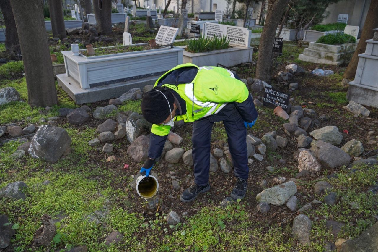 İzmir'de sivrisinek alarmı | Mücadele 12 ay boyunca sürüyor