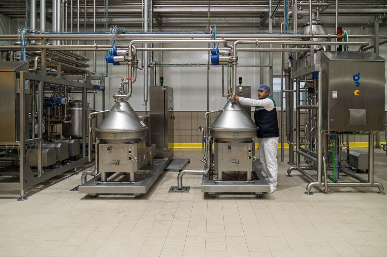 Bayındır Süt Fabrikası'nda çarklar döndü