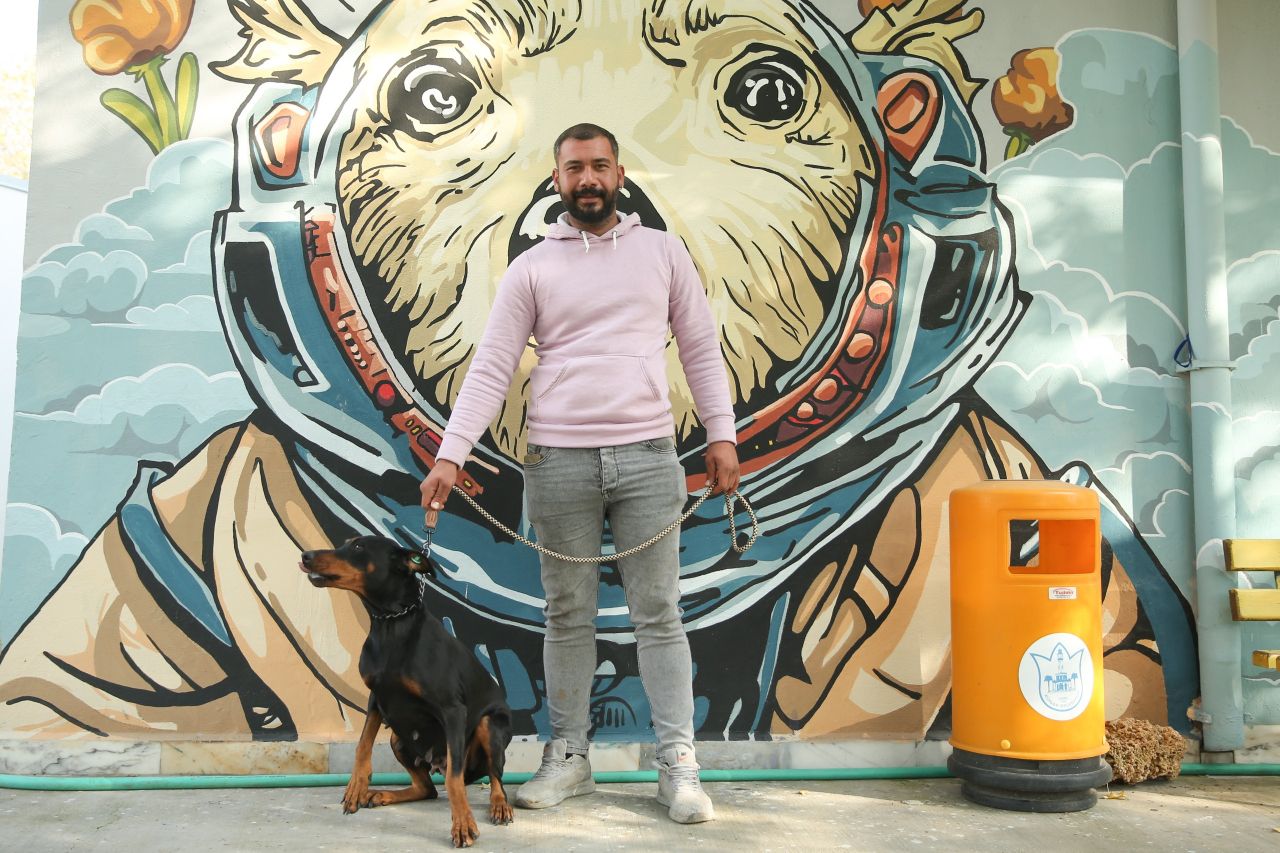 Konak'ta sokak hayvanları yeni ailelerini bekliyor!