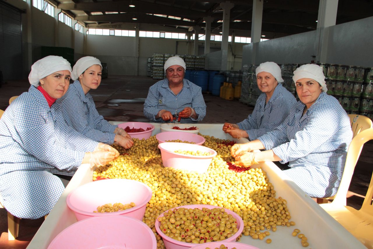 OASIS Projesi Türk zeytincileri bekliyor