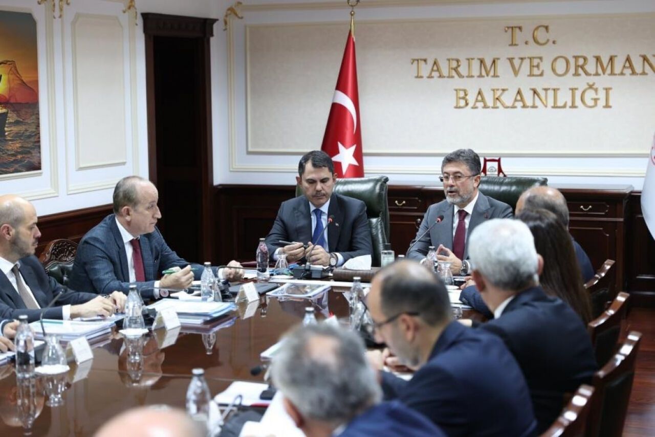 Orman yangınları için 'çalışma grubu' oluşturuluyor