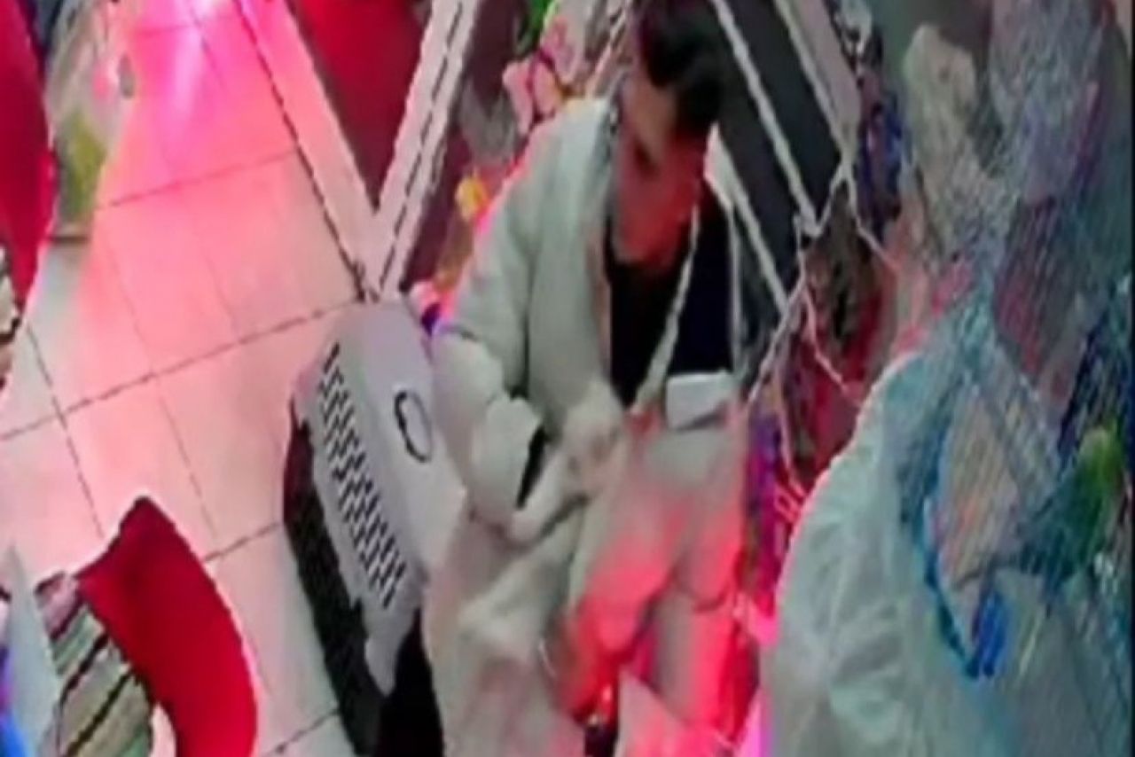 Bornova'da ilginç hırsızlık: Cins kediyi montuna gizleyip çaldı