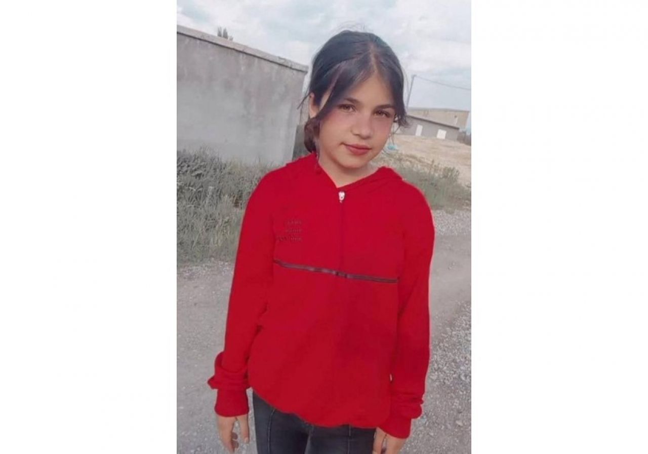 Son dakika! Belediyeye sokak köpeği soruşturması!