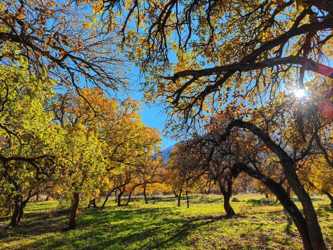 Bu manzaranın ait olduğu yeri öğrendiğinizde, inanamayacaksınız!