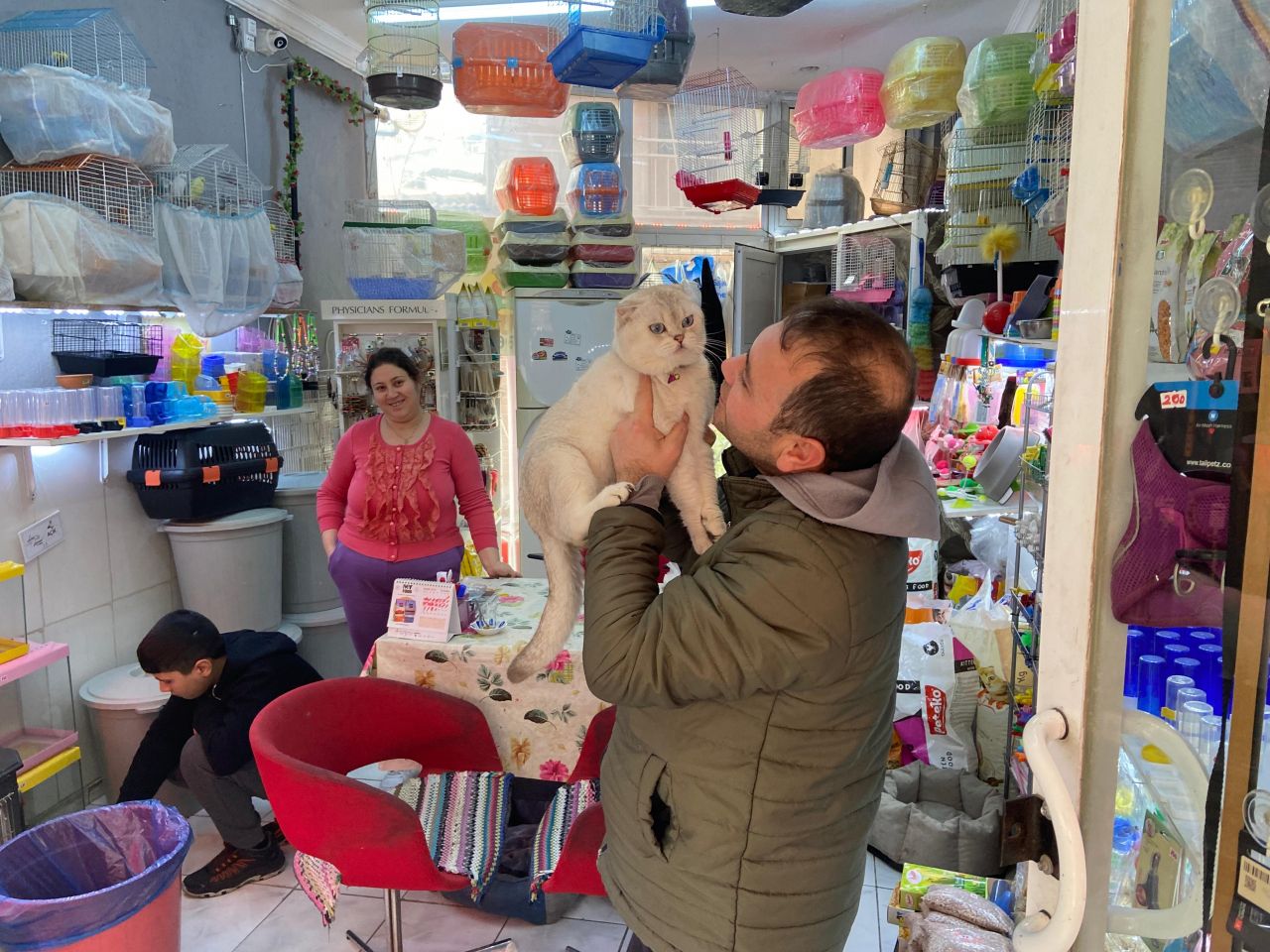 Bornova'da ilginç hırsızlık: Cins kediyi montuna gizleyip çaldı