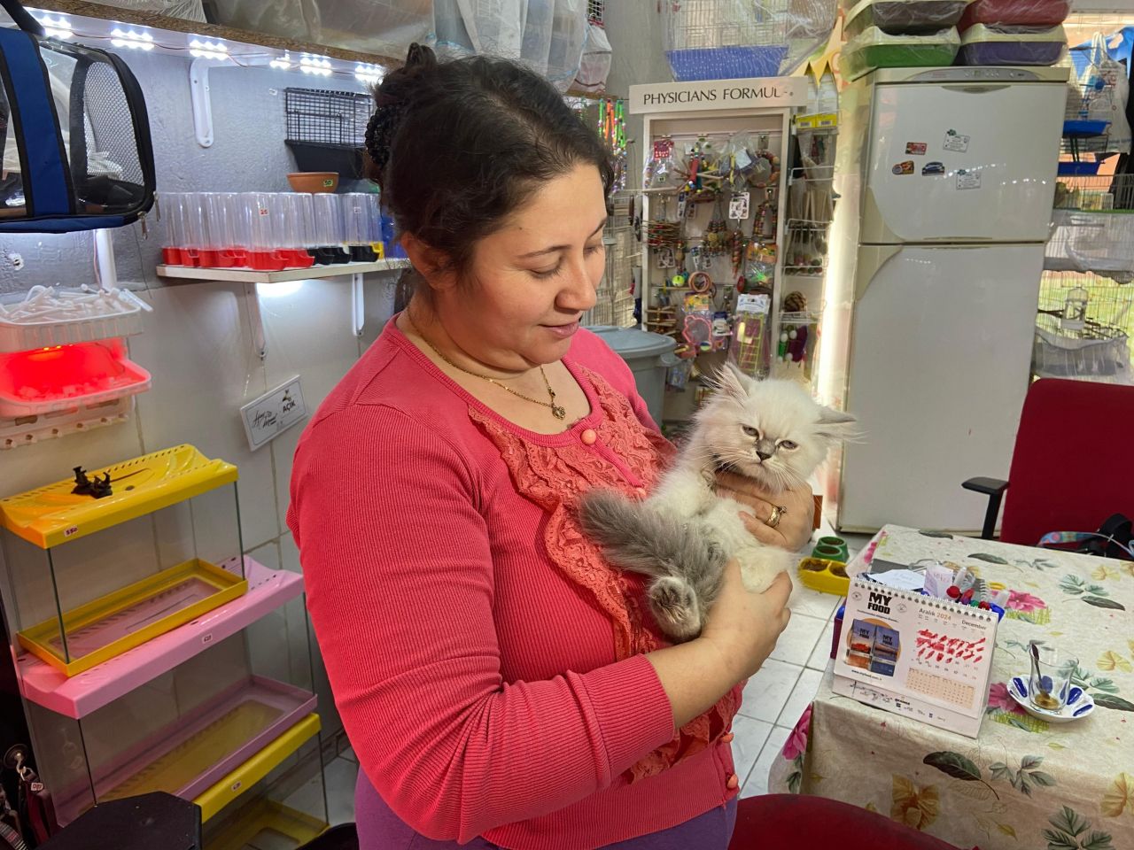 Bornova'da ilginç hırsızlık: Cins kediyi montuna gizleyip çaldı