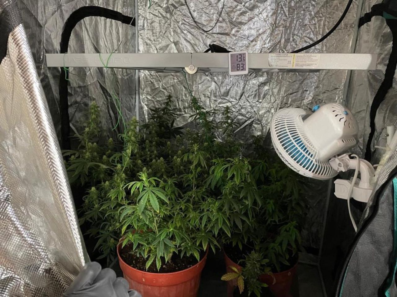 Narkotik ekipleri göz açtırmıyor: İzmir'de zehir tacirlerine baskın