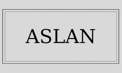 Aslan isminin anlamı ve kökeni nedir?