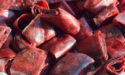 Marketteki pestilleri unutun! Ev yapımı erik pestili ile tanışın