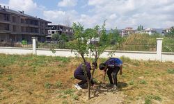 Gazi Umur Bey Lisesi – Okulumuza Bahar Geldi
