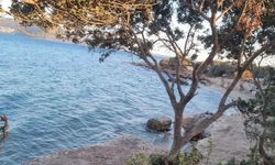 İzmir’in saklı huzur adası: Bu koyda sessizliğe ve denizaltı cennetine yolculuk yapacaksınız!