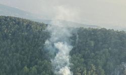 İzmir’de orman yangını kısa sürede kontrol altına alındı