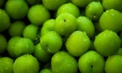 Uykuda görülen bir erik… Tabirciler neden bu rüyaya dikkat çekiyor?