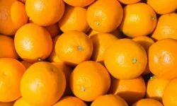 Rüyada portakal görmek ne anlama geliyor? Müjde mi, uyarı mı?