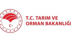 Tarım ve Orman Bakanlığı 8.500 personel alacak! Yangın sezonu öncesi devalım geliyor