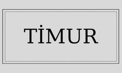 Timur isminin anlamı ve kökeni nedir?