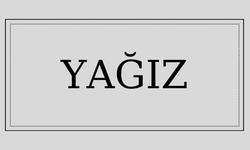 Yağız isminin anlamı ve kökeni nedir?